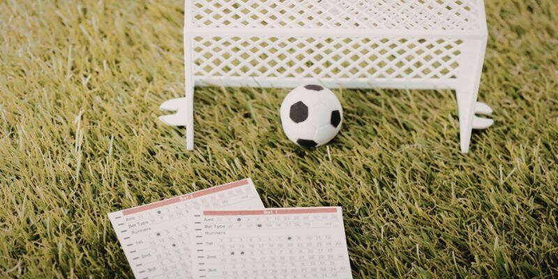 Các loại hình chấp phổ biến